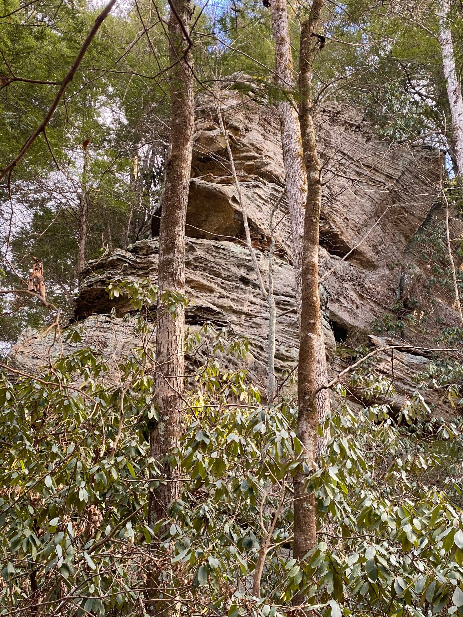 Where to Eat Near Red River Gorge: Local Favorites