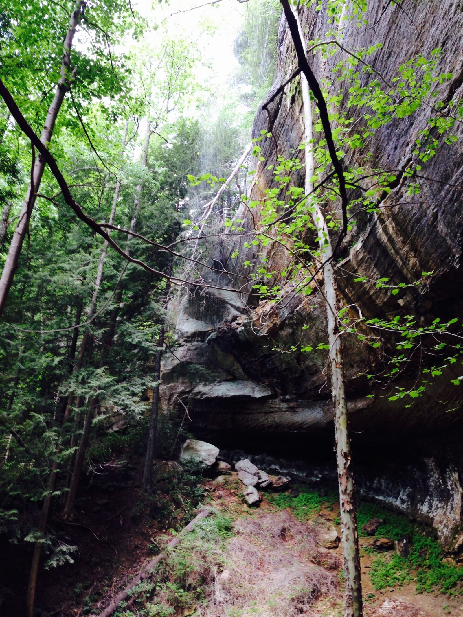 Red River Gorge Fall Foliage: When & Where to See Peak Color