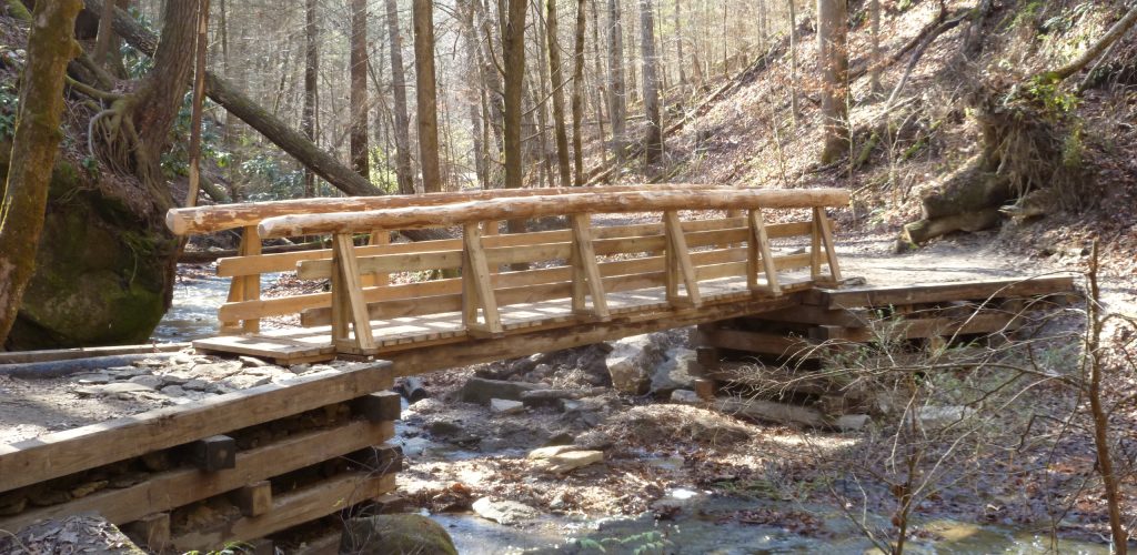 Best Hikes Near Red River Gorge for Every Level